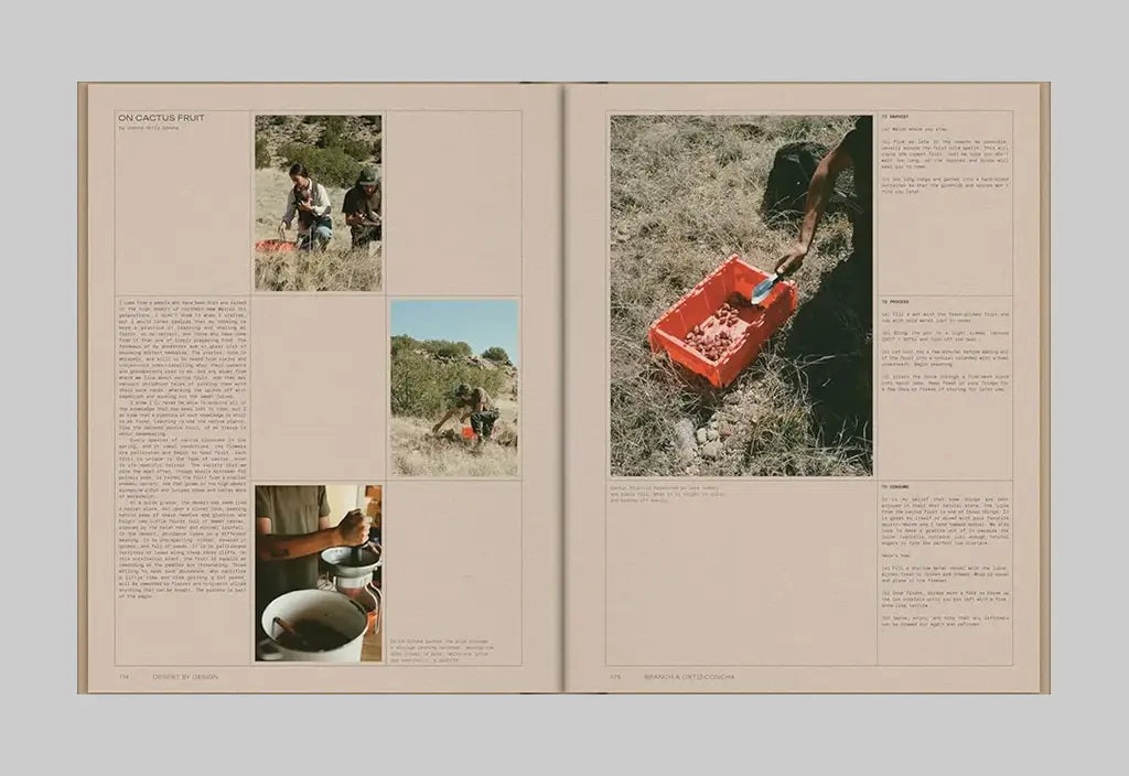 Desert by Design – Inside 02