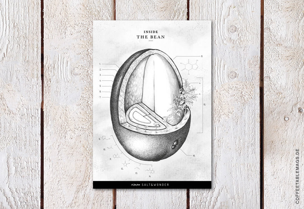 Inside The Bean – Zine by Salt & Wonder – Cover