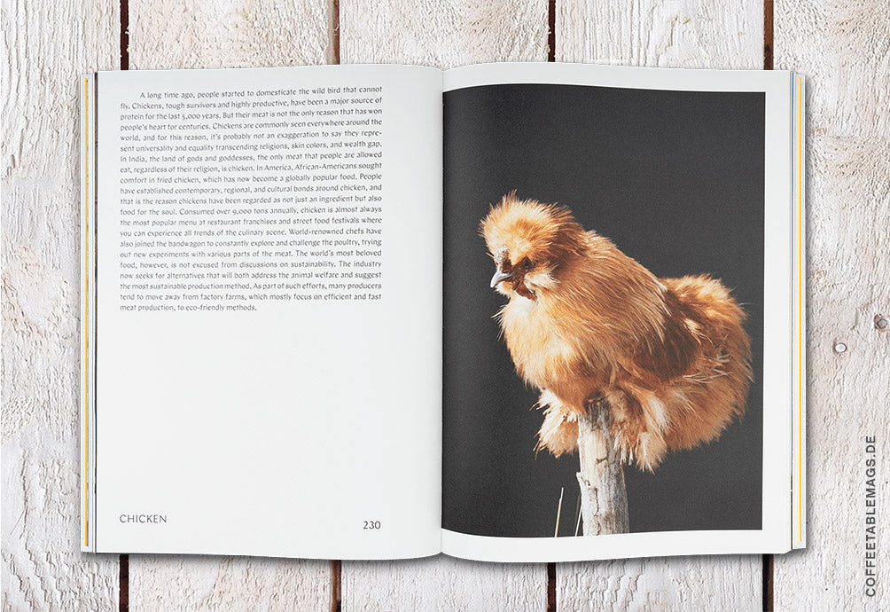 Magazine F – Book: Salt, Cheese, Chicken, Tamato, and Rice – Inside 04