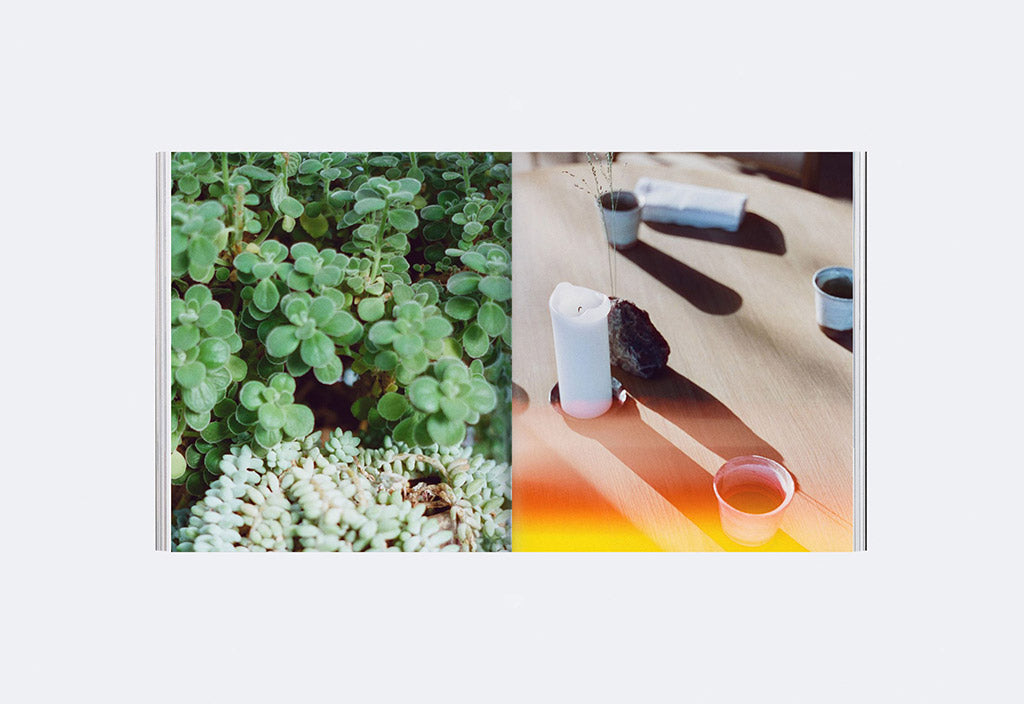 Plates – Issue No. 01: New Territories – Inside 03