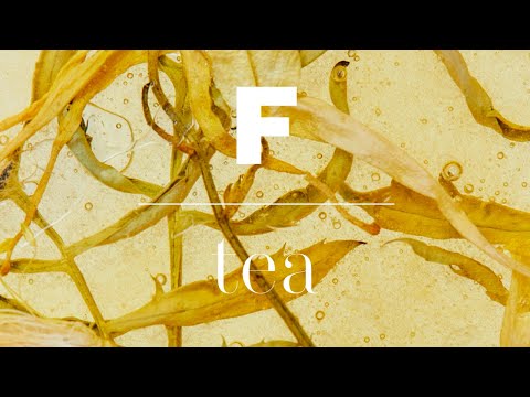 Magazine F – Issue 25: Tea – Video