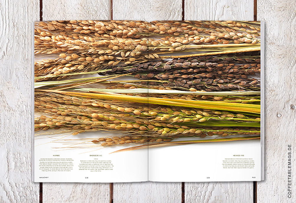 Coffee Table Mags / Independent Magazines / Magazine F – Issue 05: Rice – Inside 08
