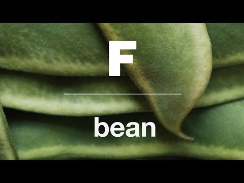 Magazine F – Issue 11: Bean
